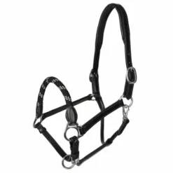 Licol anatomique en cuir Acavallo