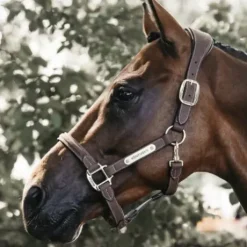 Licol anatomique en suédine - Kentucky - Cuir artificiel