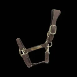 Licol anatomique en suédine - Kentucky - Cuir artificiel