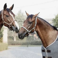 Licol anatomique en suédine - Kentucky - Cuir artificiel