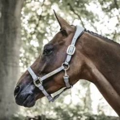 Licol anatomique en suédine - Kentucky - Cuir artificiel