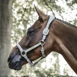 Licol anatomique en suédine - Kentucky