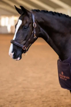 Licol Anatomique Moonless Night - Equestrian Stockholm