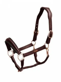 Licol Anatomique Moonless Night - Equestrian Stockholm