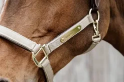 Licol anatomique nylon - Kentucky