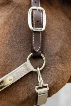 Licol anatomique nylon - Kentucky