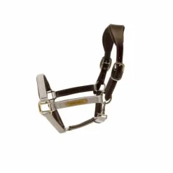 Licol anatomique nylon - Kentucky