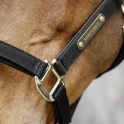 Licol anatomique nylon - Kentucky