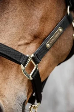 Licol anatomique nylon - Kentucky