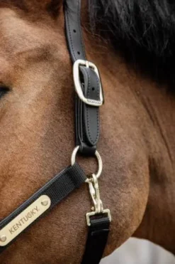 Licol anatomique nylon - Kentucky