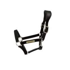 Licol anatomique nylon - Kentucky