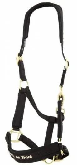 Licol Back On Track Werano