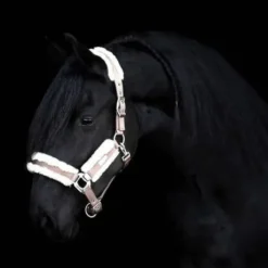 Licol Be Tempted SD DESIGN - Nougat Mousse