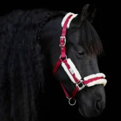 Licol Be Tempted SD DESIGN - Cherry Milkshake