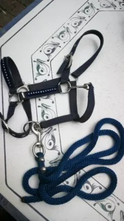 Licol bleu marine à strasse