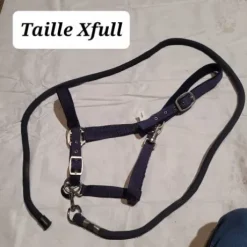 Licol bleu marine taille Xfull avec longe