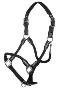 Licol carlotta - HKM - cuir et nylon