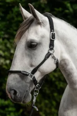 Licol carlotta - HKM - cuir et nylon