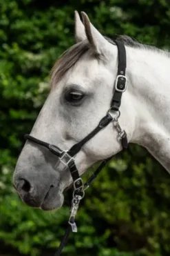 Licol carlotta - HKM - cuir et nylon