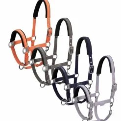 Licol Classic Sports 2022 - Eskadron