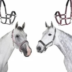 Licol classique - Eskadron