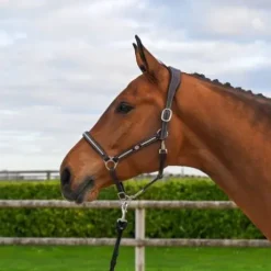 Licol Clincher - Collection One Premium - Jump in