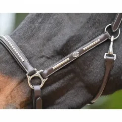 Licol Clincher - Collection One Premium - Jump in