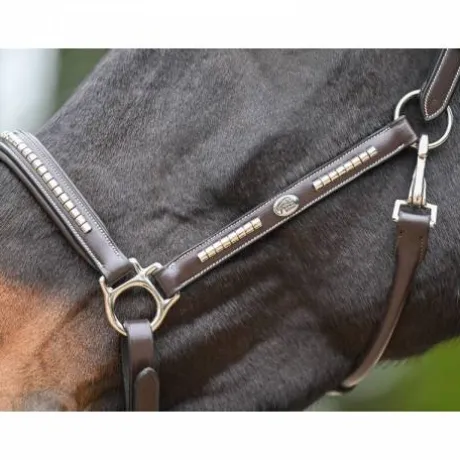 Licol Clincher - Collection One Premium - Jump in