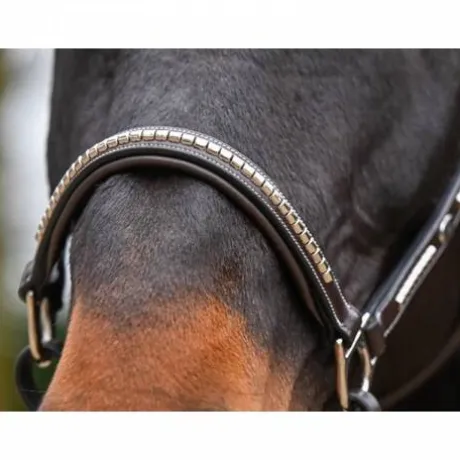 Licol Clincher - Collection One Premium - Jump in