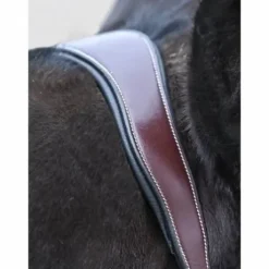 Licol Clincher - Collection One Premium - Jump in