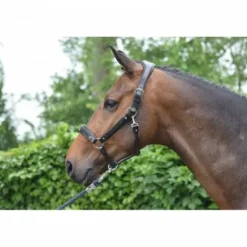 Licol Crystal - Collection Week - Jump in