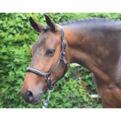 Licol Crystal - Collection Week - Jump in