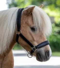 Licol cuir diamond waldhausen