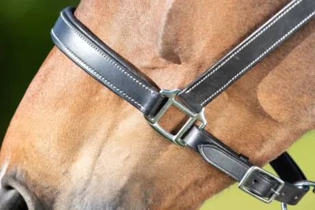 Licol cuir double réglage - HFI - cuir souple