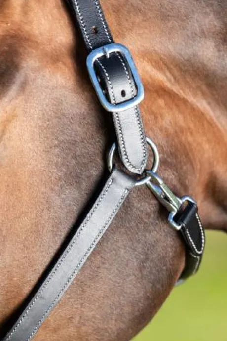 Licol cuir double réglage - HFI - cuir souple