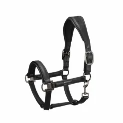 Licol cuir Essence 2022 - Eskadron