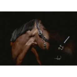 Licol cuir Harmonie - PENELOPE COLELCTION