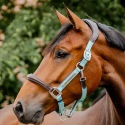 Licol de compétition signature - horseware - confort maximal