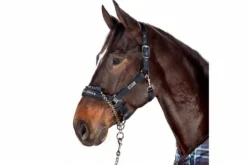 Licol de contrôle Performance - Eskadron