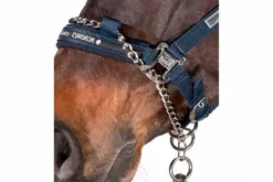 Licol de contrôle Performance - Eskadron