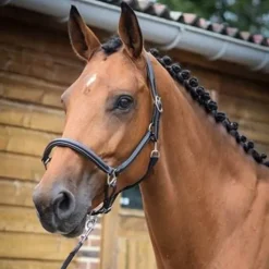 Licol de pansage - Collection One - Jump'in