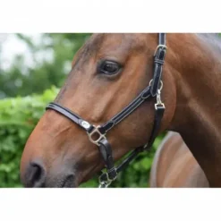 Licol de pansage - Collection Week - Jump'in