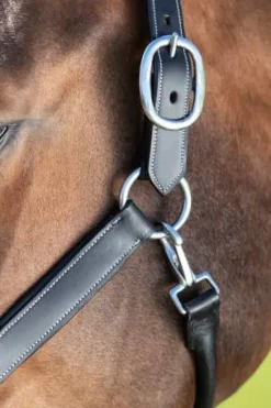 Licol de pansage HFI