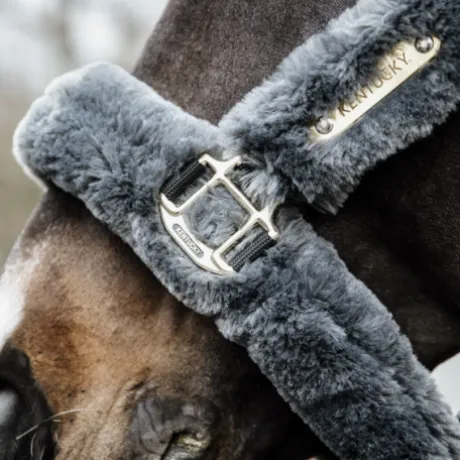 Licol de transport mouton - Kentucky