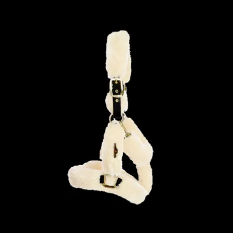 Licol de transport mouton - Kentucky