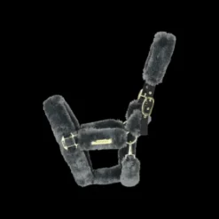 Licol de transport mouton - Kentucky