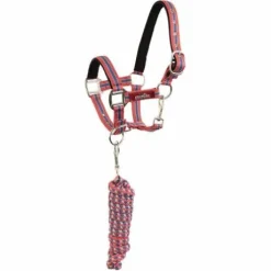 Licol doublé en néoprène avec longe - BR