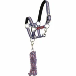 Licol doublé en néoprène avec longe - BR