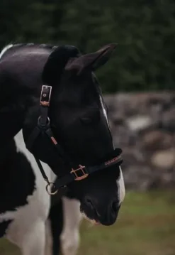 Licol doublé mouton et longe Equestrian Stockholm - DARK SKY