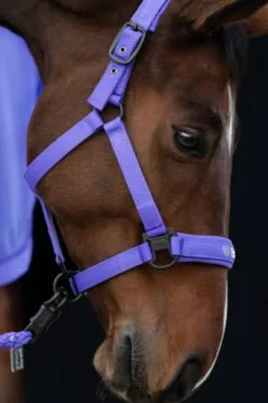 Licol Double Pin Dynamic 2024 - Eskadron